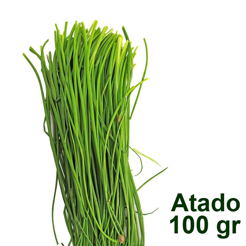Cebollín orgánico atado 100 gr