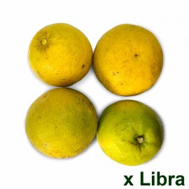 Naranja Común x lb de Pequeñas Fincas