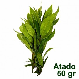 Laurel fresco orgánica Atado 50 gr