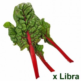 Acelga Colores Orgánica x Lb - roja