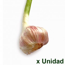 Cabeza Ajo Rojo criollo x unidad