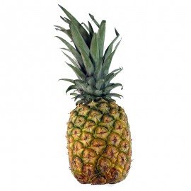 Piña orgánica x unidad de 2 a 3 libras Pequeñas Fincas
