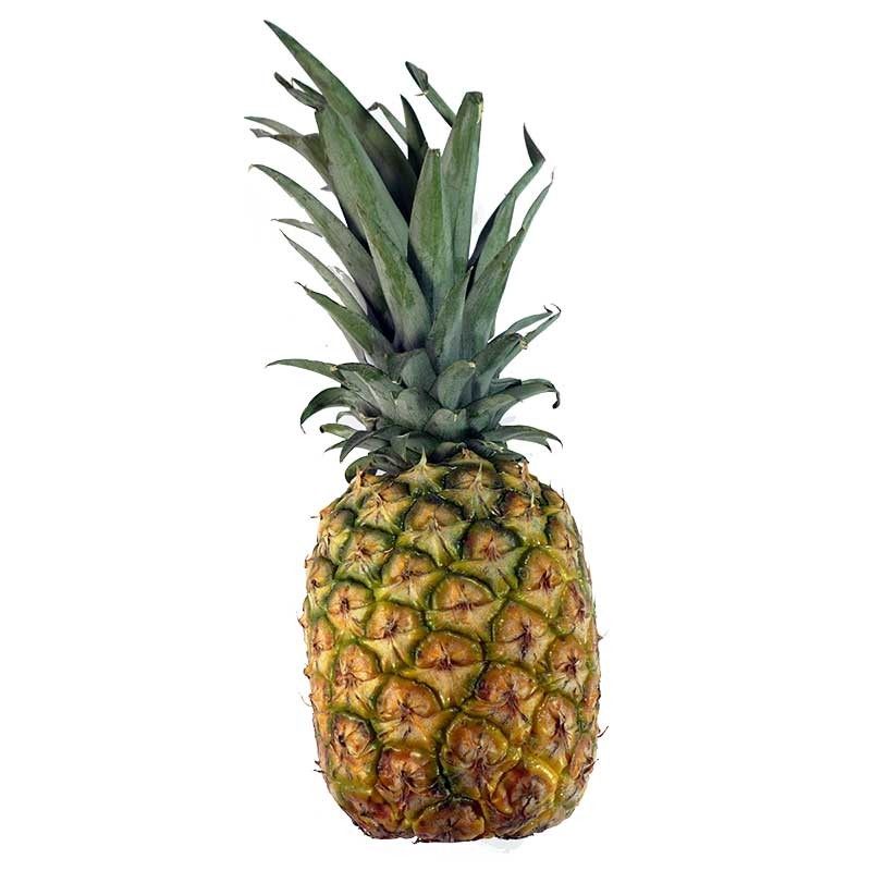 Piña orgánica x unidad de 2 a 3 libras Pequeñas Fincas
