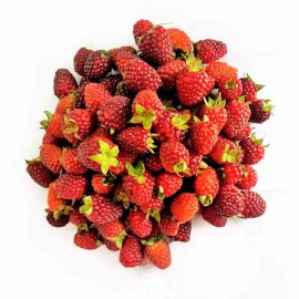 Mora orgánica fresca antes de congela 500 gr Moracol