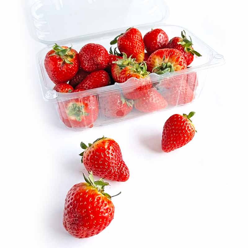 Fresas orgánicas caja 500 gr x uni