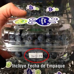 Fecha Empaque - Arándanos orgánicos 125 gr FOREVER BLUEBERRIES