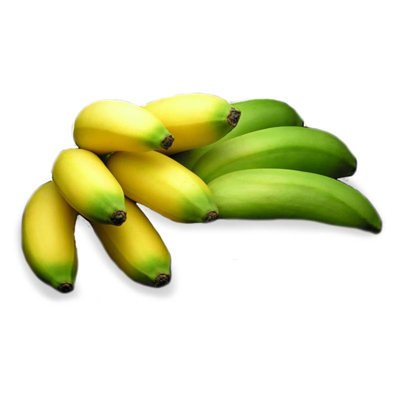 Banano Bocadillo orgánico 12 bananos x Unidad de Pequeñas Fincas