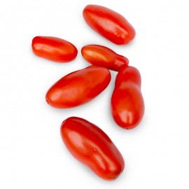 Tomate San MArzano x lb Villa Santos
