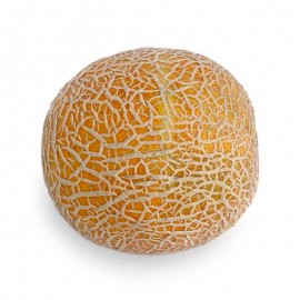 Melón x Unidad Pequeñas Fincas