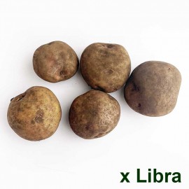 Papa Pastusa x lb Cultivo Limpio. Vienen sin lavar, con tierra para aumentar duración.