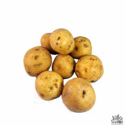 Papa Criolla o Papa Amarilla