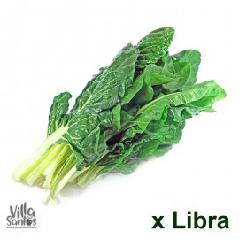 Acelga orgánica x Libra Tienda Villa Santos