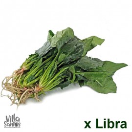 Espinaca orgánica x libra Tienda Villa Santos