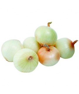 Cebolla Cabezona Blanca orgánica x lb