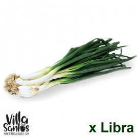 Cebolla Larga orgánica x lb