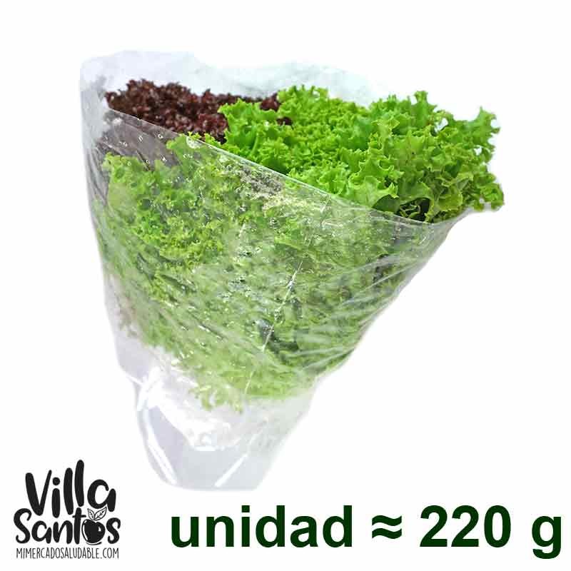 Lechuga Crespa Combinada orgánica x Unidad