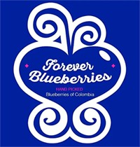 FOREVER BLUEBERRIES