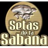 SETAS DE LA SABANA